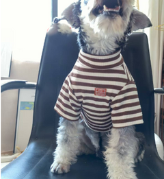 Cool Pup Threads